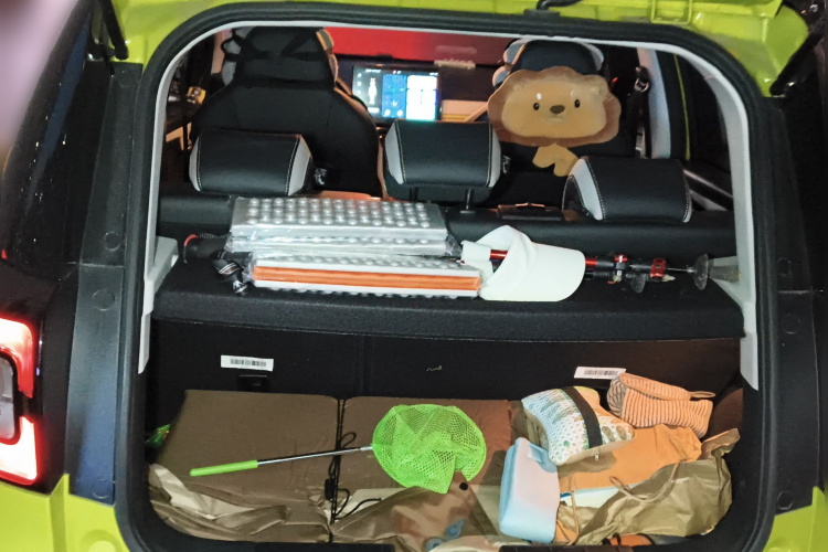 思皓 2022款 花仙子款 满天星中控内饰23