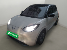 五菱汽车 五菱缤果 2023款 410km 灵犀尊享款