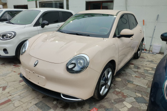 欧拉好猫 2023款 401km标准续航 豪华型 磷酸铁锂