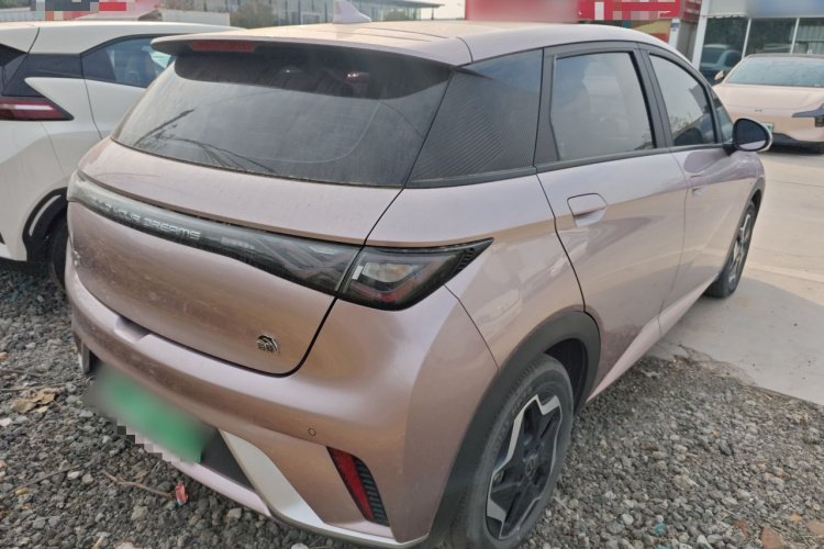 比亚迪 海豚 2021款 405km 时尚版车身外观7