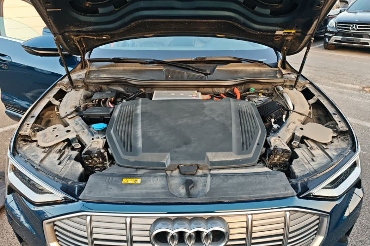 奥迪e-tron(进口) 2019款 55 quattro 技术型机舱底盘24