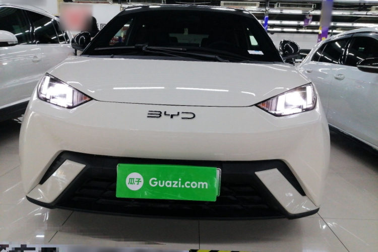 比亚迪 海鸥 2025款 305km 自由版车身外观2