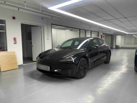 特斯拉 Model 3 2023款 后轮驱动版