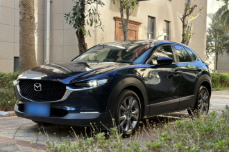 马自达CX-30 2020款 2.0L 自动雅悦型