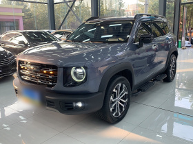 哈弗大狗 2021款 1.5T DCT两驱边牧-旺财版