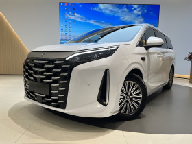 比亚迪 夏 2025款 DM-i 1.5T 180km 卓越型