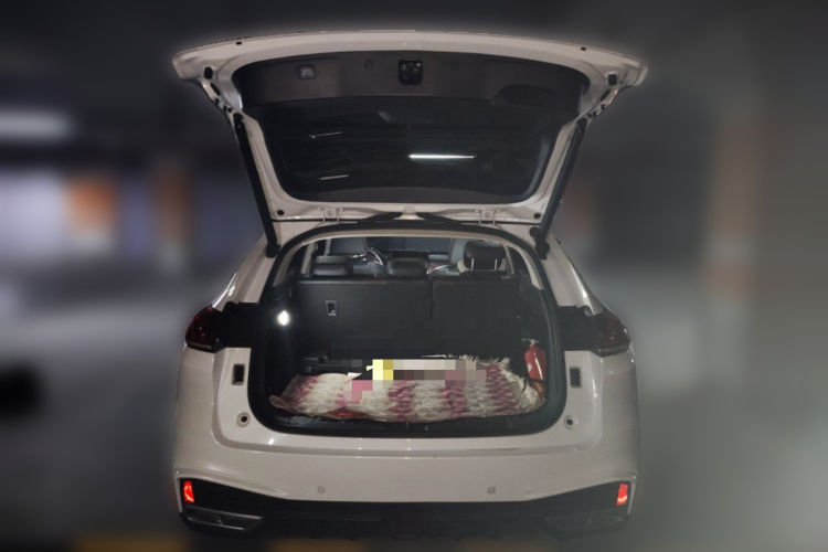 魏牌 VV5 2021款 1.5T 两驱智先锋局部细节23