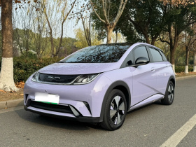 比亚迪 海豚 2023款 420km 时尚版