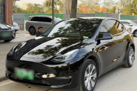 特斯拉 Model Y 2022款 改款 长续航全轮驱动版