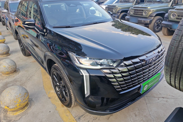 哈弗H6 2024款 2.0T 两驱Max车身外观3