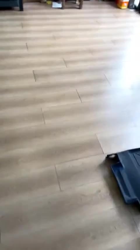 福特 福睿斯 2019款 改款 1.5L 自动悦享型 国VI讲解2