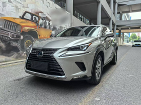 雷克萨斯NX 2018款 200 全驱 锋尚版 国V