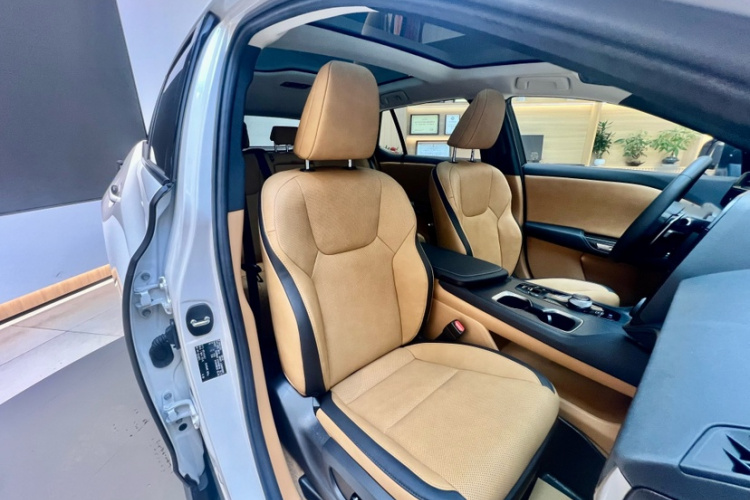 雷克萨斯RZ 2023款 450e 四驱纵享版中控内饰7002