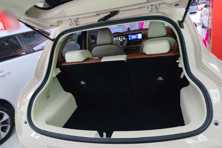 欧拉好猫 2023款 401km标准续航 豪华型 磷酸铁锂机舱底盘23