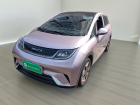 比亚迪 海豚 2021款 405km 时尚版