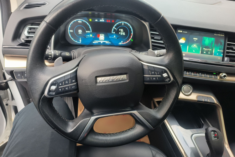 哈弗H6 2020款 2.0GDIT 自动铂金豪华版局部细节13