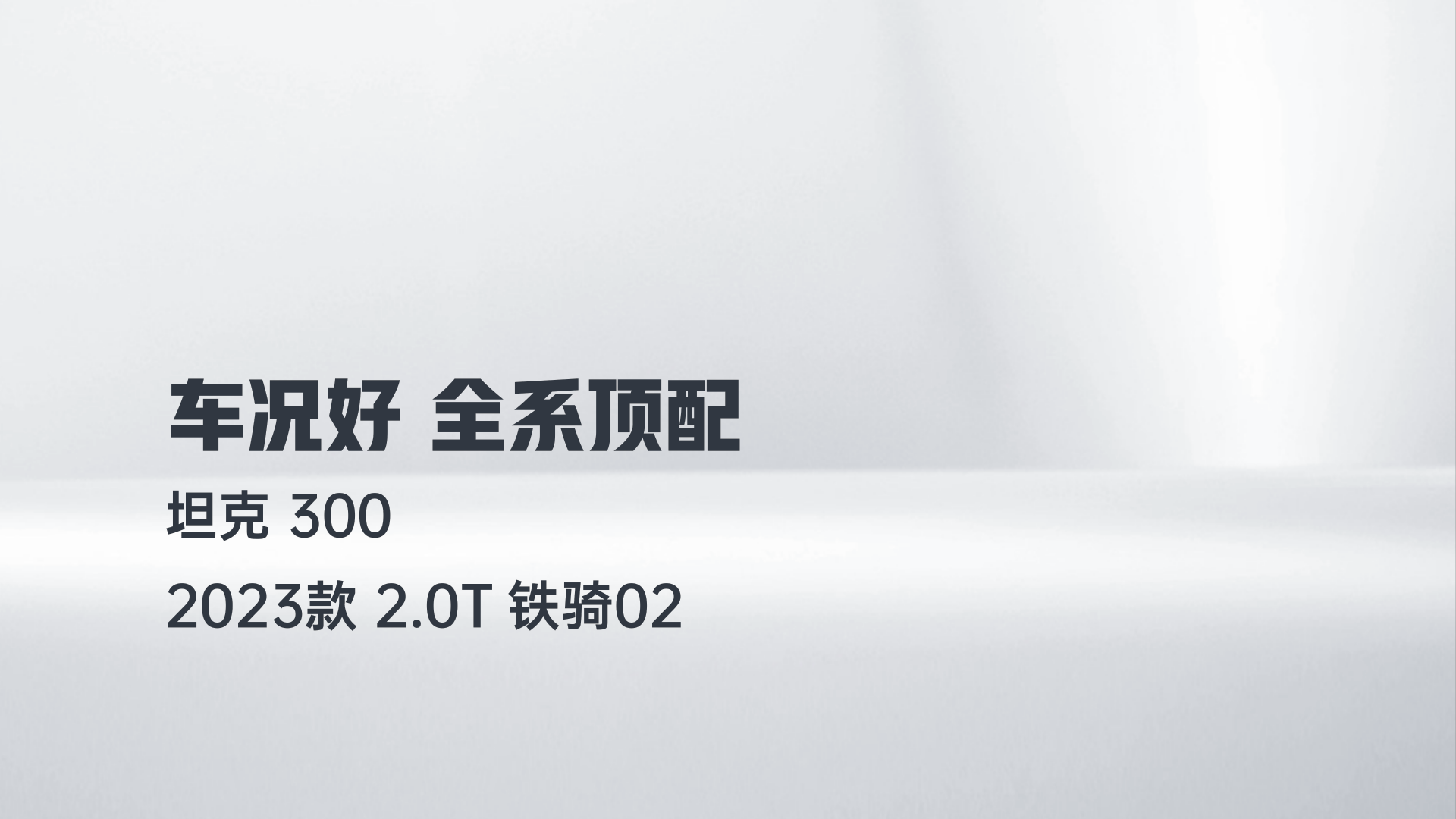 坦克300 2023款 2.0T 铁骑02解读2
