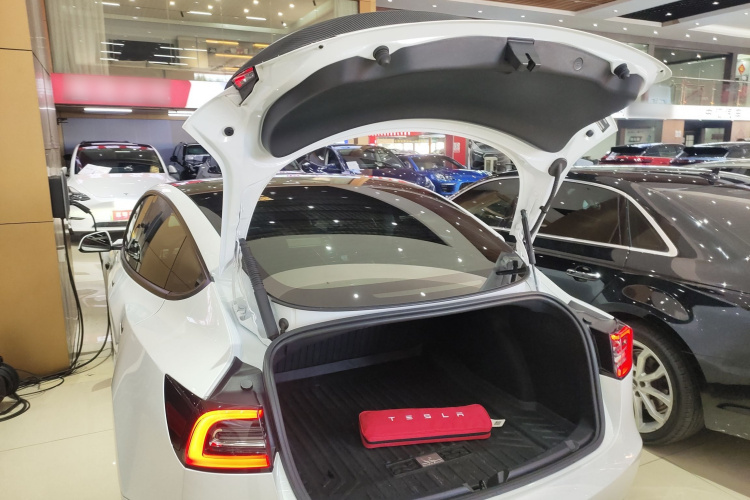 特斯拉 Model 3 2021款 Performance高性能全轮驱动版 3D6机舱底盘23