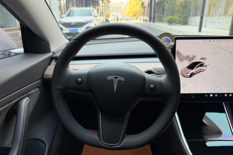 特斯拉 Model 3(进口) 2019款 长续航全轮驱动版局部细节13