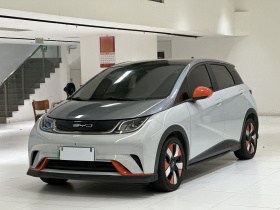 比亚迪 海豚 2021款 401km 骑士版