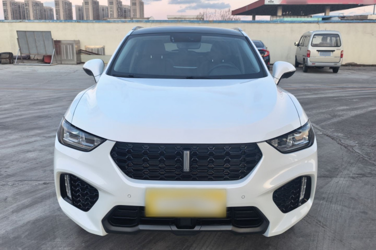 魏牌 VV5 2019款 1.5T 两驱颜先锋车身外观6001