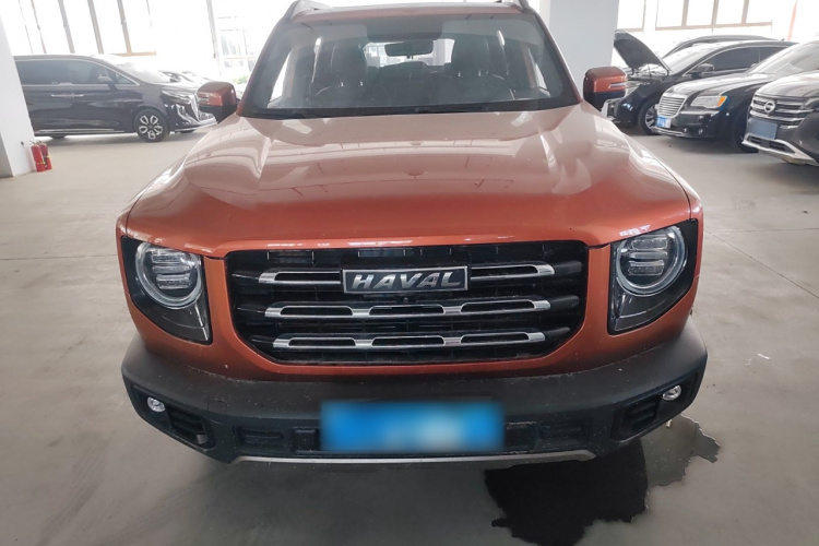 哈弗大狗 2021款 1.5T DCT两驱拉布拉多版车身外观6001