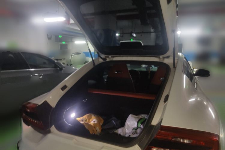 零跑汽车 零跑S01 2019款 460 Pro局部细节23