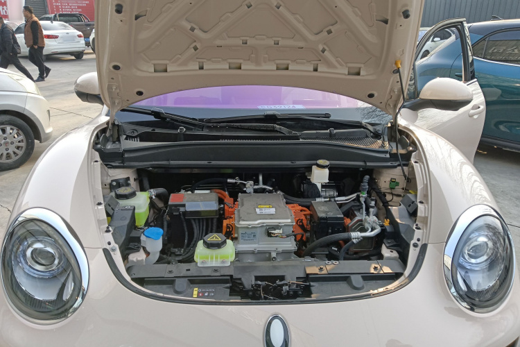 欧拉好猫 2025款 430km 尊荣型局部细节24