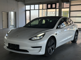 特斯拉 Model 3 2021款 标准续航后驱升级版