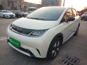 比亚迪 海豚 2024款 荣耀版 420km 自由版