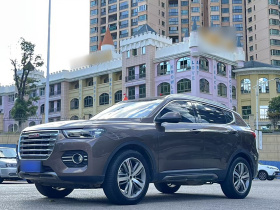 哈弗H6 2017款 红标 2.0T 自动两驱智尚型