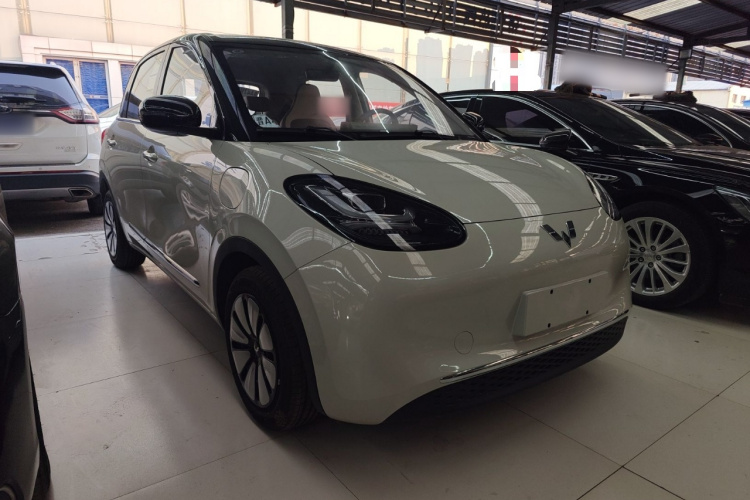 五菱汽车 五菱缤果 2025款 333km 悦享款车身外观3