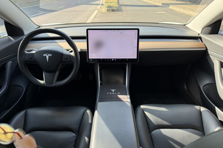 特斯拉 Model 3 2019款 标准续航后驱升级版局部细节14