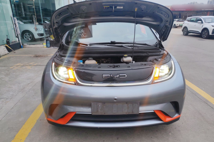 比亚迪 海豚 2021款 405km 自由版机舱底盘24