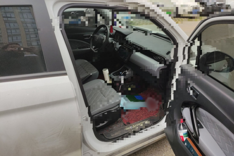 零跑汽车 零跑T03 2021款 400舒享版局部细节9005