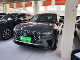 林肯 冒险家 2023款 2.0T 两驱尊享版