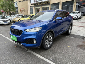 魏牌 VV6 2018款 2.0T 两驱超豪型 国V