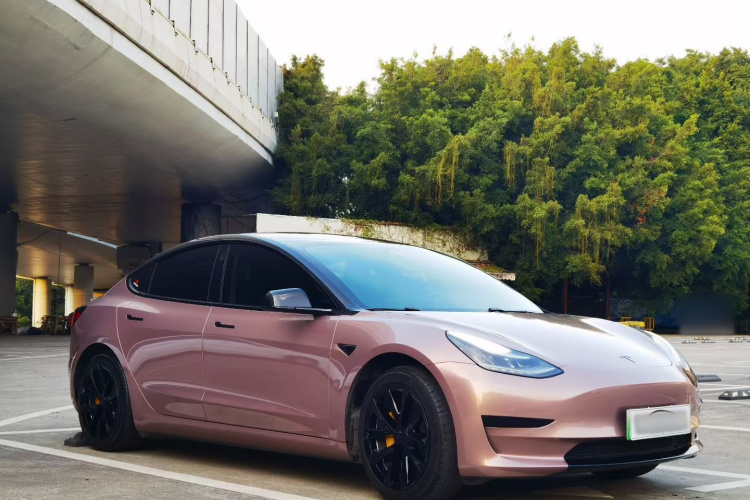 特斯拉 Model 3 2020款 标准续航后驱升级版车身外观6002