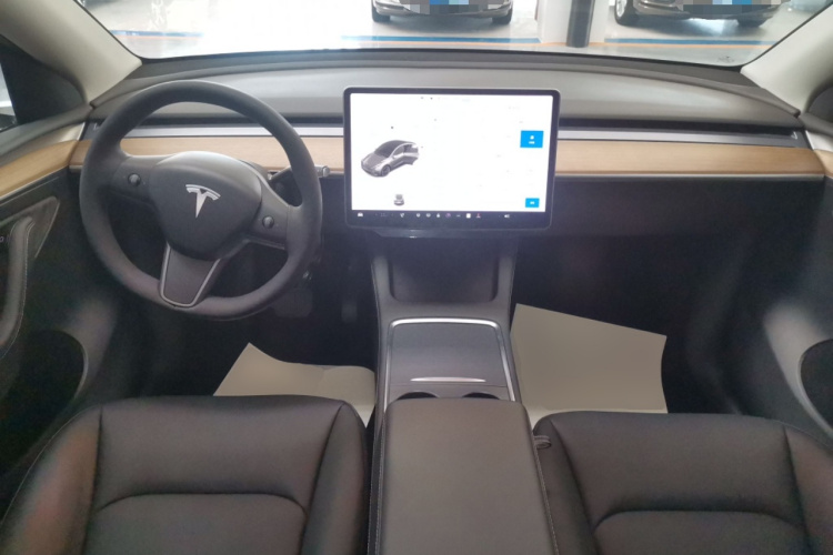 特斯拉 Model Y 2021款 长续航全轮驱动版 3D7中控内饰12