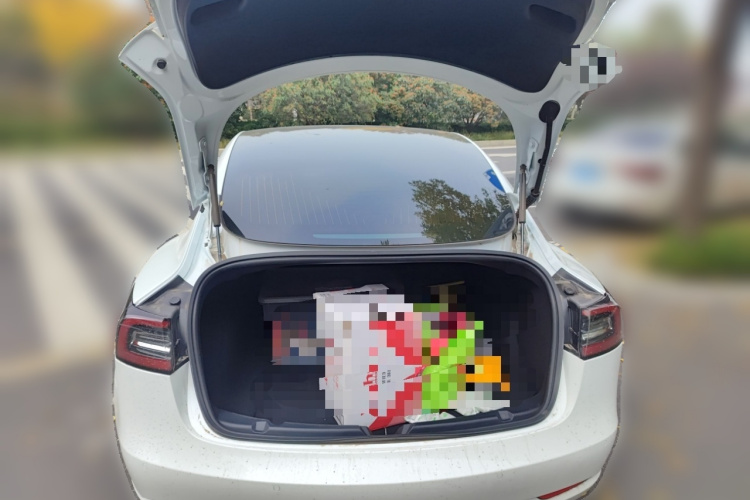 特斯拉 Model 3 2019款 标准续航后驱升级版局部细节23