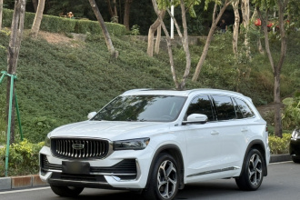 吉利汽车 星越L 2021款 2.0TD DCT EVO两驱尊贵型