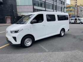 五菱汽车 五菱扬光 2024款 300KM 舒适型客车版 75kW