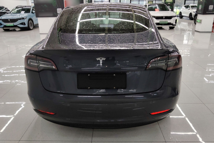特斯拉 Model 3 2019款 标准续航后驱升级版车身外观6