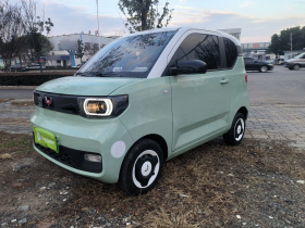 五菱汽车 宏光MINIEV 2021款 马卡龙时尚款 磷酸铁锂