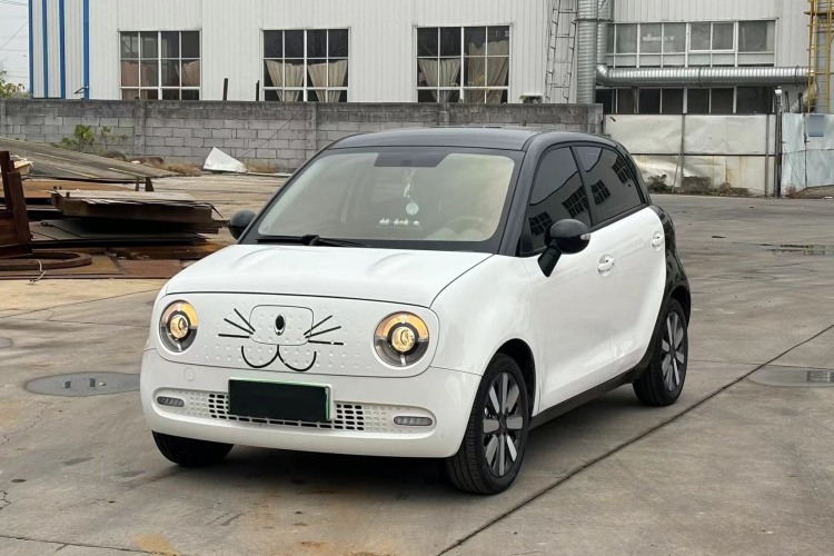 欧拉黑猫 2021款 351km 标准型车身外观6001