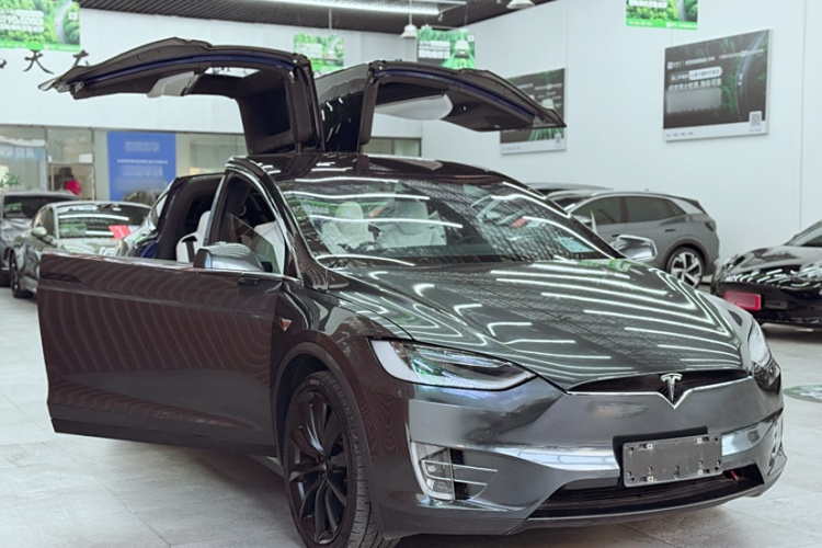 特斯拉 Model X 2019款 Performance 高性能版车身外观6001