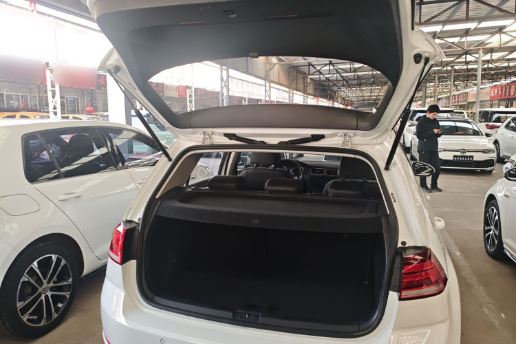 大众 高尔夫 2020款 挚爱版 280TSI DSG舒适型机舱底盘23