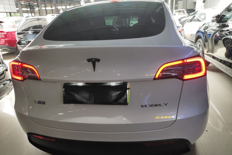 特斯拉 Model Y 2024款 长续航全轮驱动版车身外观6004