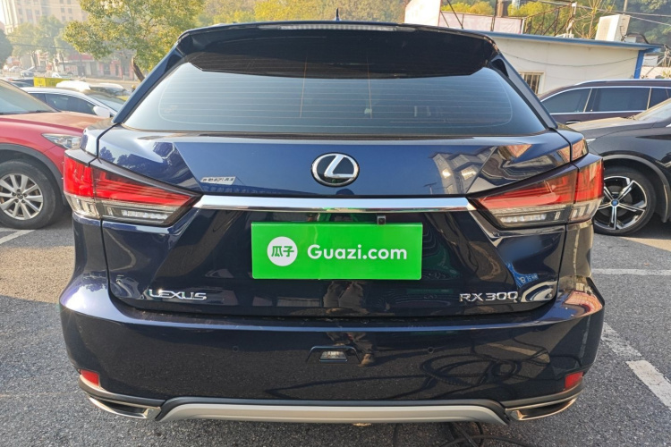 雷克萨斯RX 2020款 300 两驱精英版 国VI车身外观6