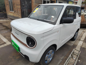 吉利银河 2024款 熊猫mini 200km 耐力熊